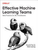 EFFECTIVE MACHINE LEARNING TEAMS