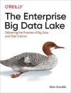 THE ENTERPRISE BIG DATA LAKE. DELIVERING THE PROMISE OF BIG DATA 